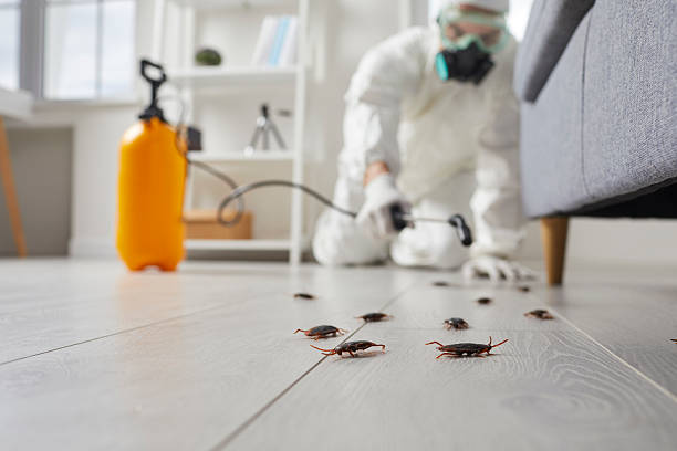 Trusted Termite Control service in DuBois, PA - Nex Pest Control