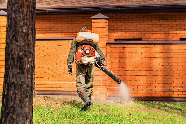 Trusted Ant Control service in DuBois, PA - Nex Pest Control
